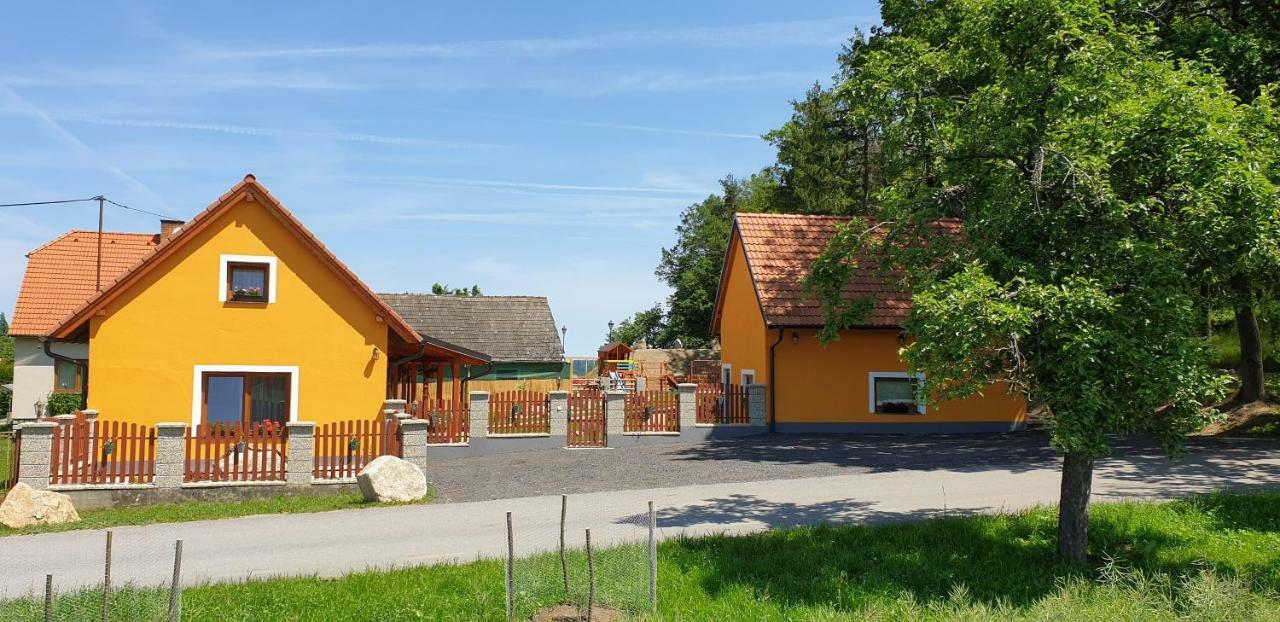 Penzion U Pepicka Netolice エクステリア 写真
